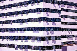 乐鱼电竞在线平台登录入口-体育赛事风险管控体系建设，体育赛事风险防范