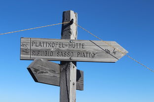 leyu平台-俱乐部品牌塑造：从传统到现代的转型之路，俱乐部产品特点